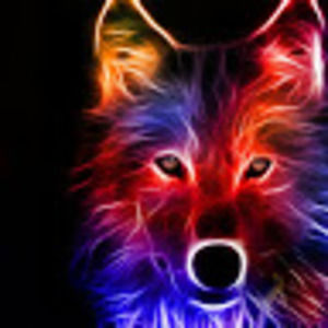 Meet your Posher, Ciaran